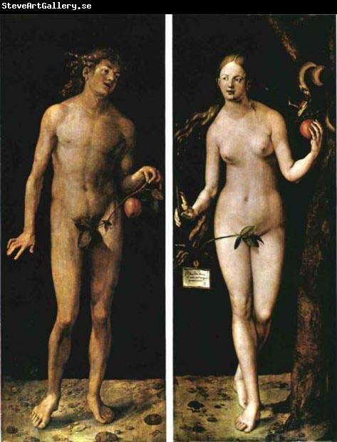 Albrecht Durer Adam and Eve